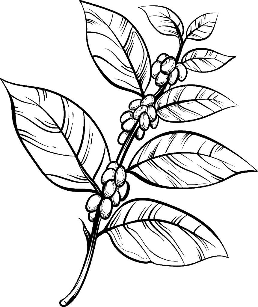 icon2 HNZ4RDH e1624586803300